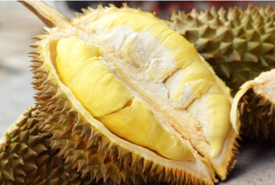 金枕榴莲秋天吃容易湿气大吗?金枕榴莲秋天吃容易上火吗?