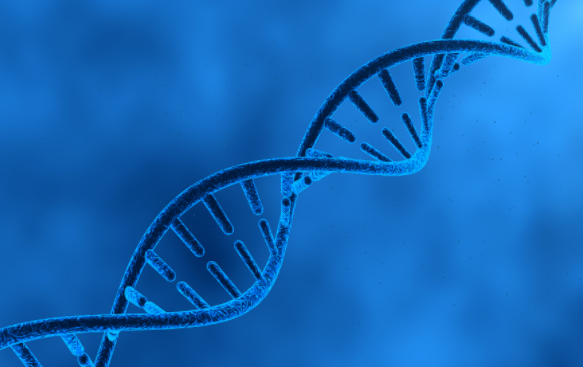人类首次梦中“对话”成功 科学家探索梦境交流新纪元