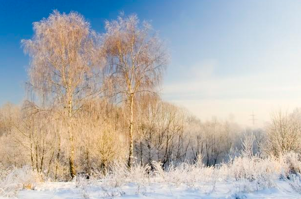 今日霜降这8种美食别忘吃，暖身养人润肤养颜健康入冬