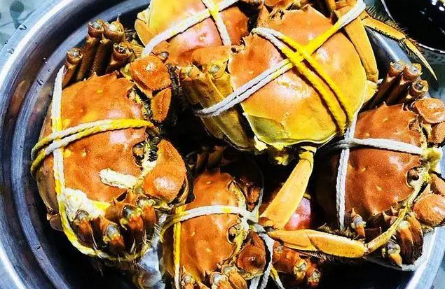 吃煮熟的螃蟹扎破手指要紧吗?被熟螃蟹扎出血有事吗? 吃煮熟的螃蟹扎破手指要紧吗?被熟螃蟹扎出血有事吗?