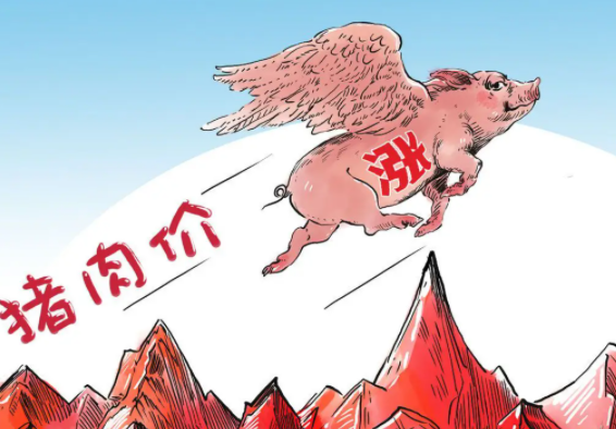 2024年冬季羽绒服喜提涨价 谁能想到竟是“猪队友”惹的祸 2024年冬季羽绒服喜提涨价 谁能想到竟是“猪队友”惹的祸