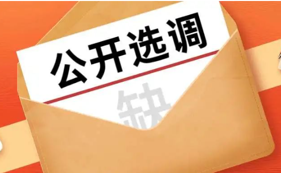 多省市选调开始“拒绝”名校留学生 2025年多地选调范围取消了海外高校