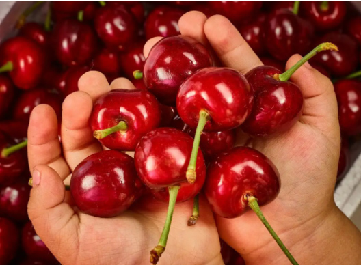 女子狂吃5斤车厘子过敏肿成悲伤蛙，过年吃车厘子最好不要过量食用