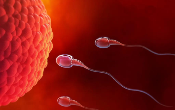 大学生捐精七成以上不达标,年轻人如何打赢生育力保卫战? 大学生捐精七成以上不达标,年轻人如何打赢生育力保卫战?