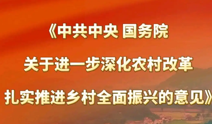 http://pic.danews.cc/upload/mjm/20250224/1d10a592f08aa601e14c3c9cd98aed8b.png