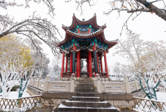 济南大明湖飞雪水墨意境拉满 冬日限定浪漫震撼上线！