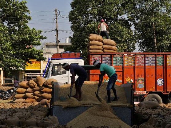 印度全面解禁大米出口 印度力争2030年末将农产品出口额翻倍 印度全面解禁大米出口 印度力争2030年末将农产品出口额翻倍