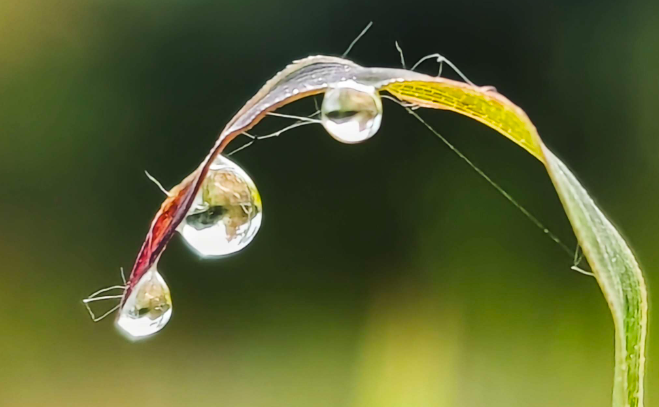 谷雨节气到抓住春天最后一个养生关键期，养阳、健脾