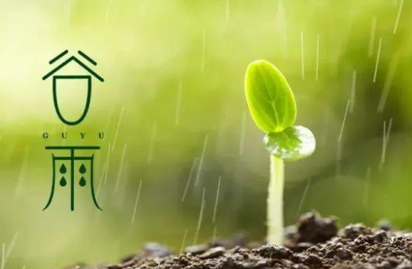 谷雨节气到抓住春天最后一个养生关键期，养阳、健脾