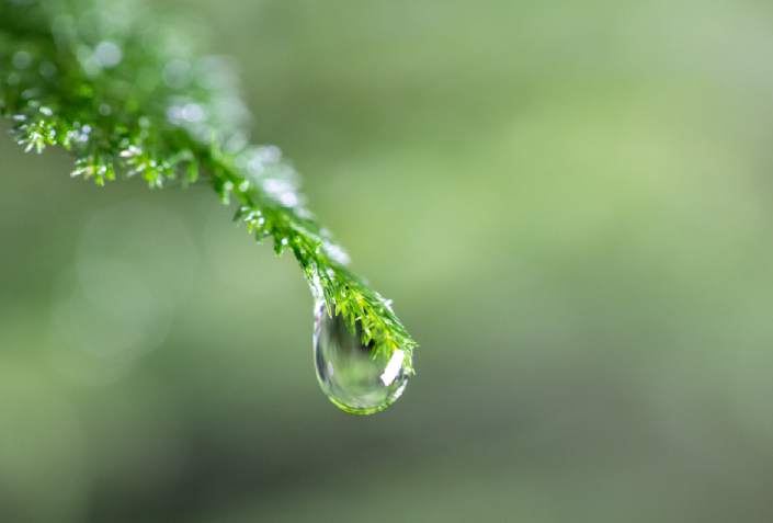 雨水“开胃菜”上线，气温再上一台阶！