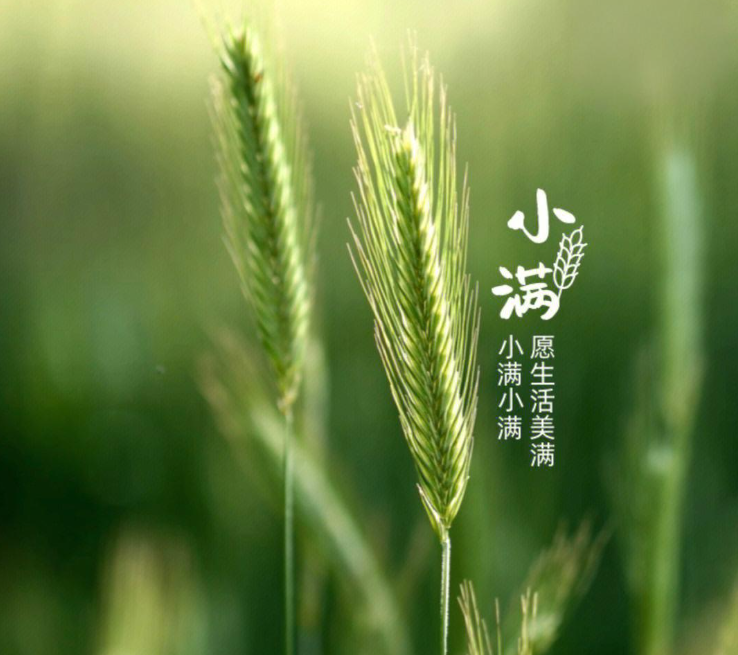 http://pic.danews.cc/upload/mjm/20250520/a8cd0d86ddacedc61ea242f720ba201a.png