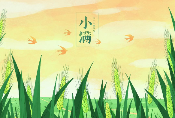 5月21日2时55分迎来小满 小满这种苦一定要吃!