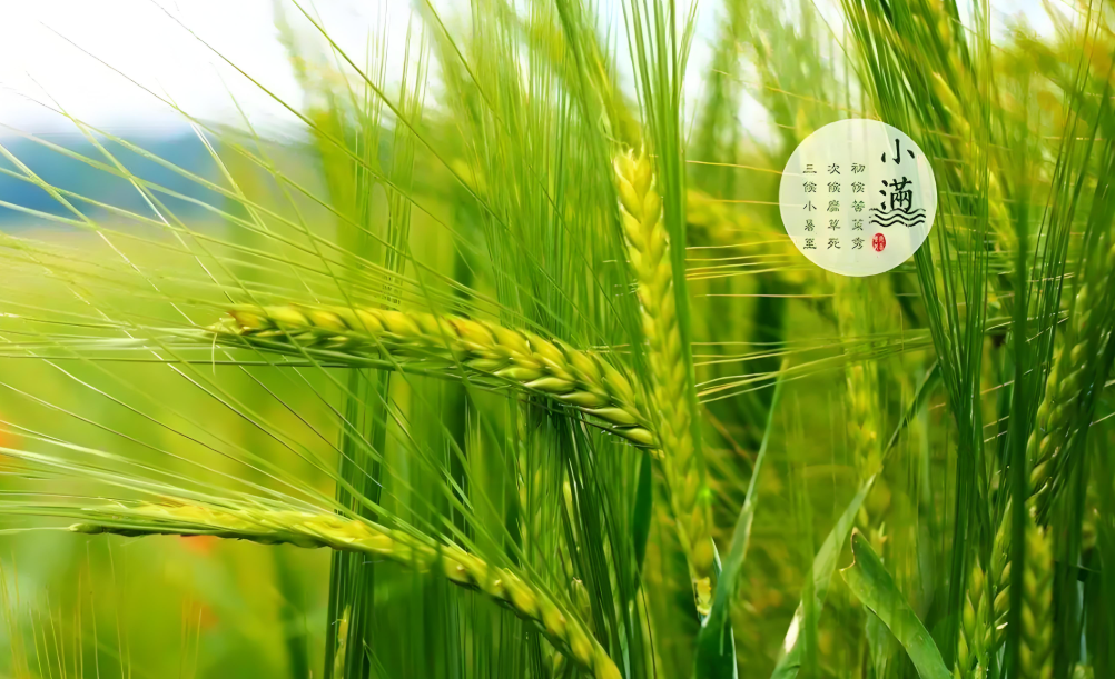 http://pic.danews.cc/upload/mjm/20250521/2ccd39b03a18aa5ba21d619d81752cd8.png