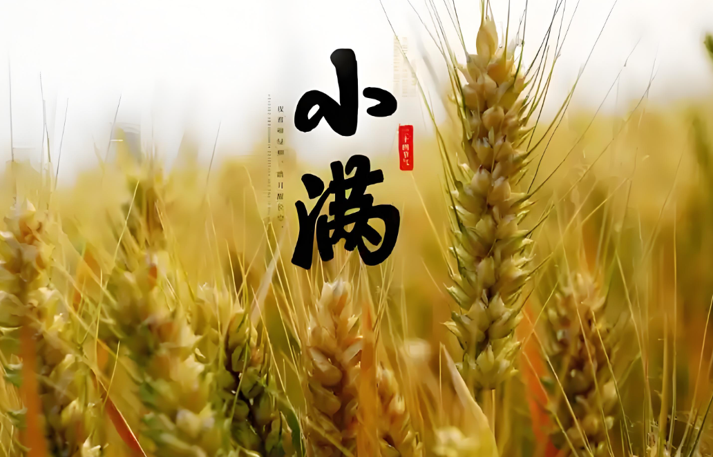 http://pic.danews.cc/upload/mjm/20250521/46156af343b7aeab4df8c508064fb425.png