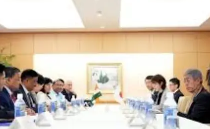 http://pic.danews.cc/upload/mjm/20250528/1dc6da98814433a274ccc481f2e51975.png