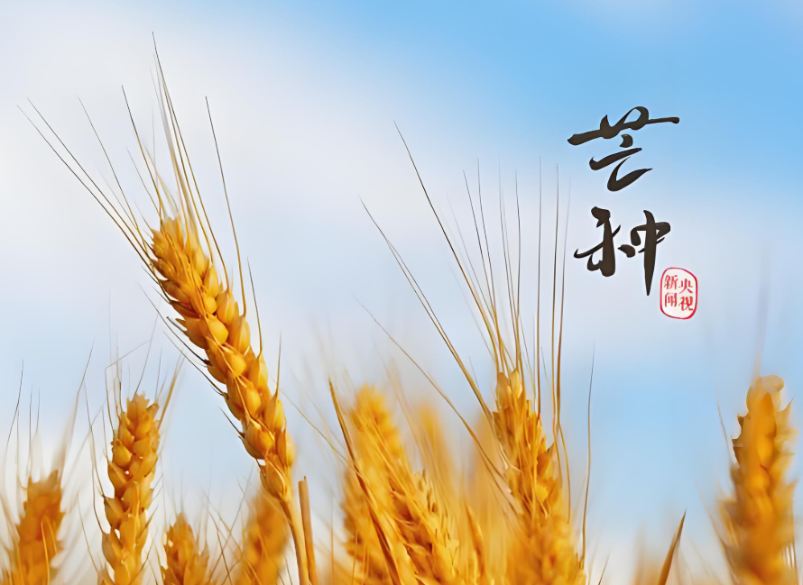 http://pic.danews.cc/upload/mjm/20250605/1e34f6c5fe16cd3b68a718fb802968eb.png