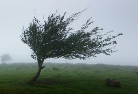 205斤小伙被大风吹倒头部着地滚翻 阵风多重的人不会被吹走