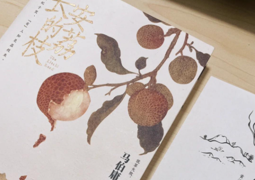 《长安的荔枝》口碑出圈成黑马喜剧 为何《长安的荔枝》能成爆款?