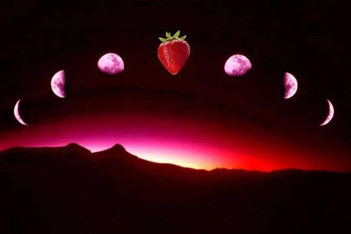 罕见草莓满月奇观就在今晚 草莓满月下次再看要2043年