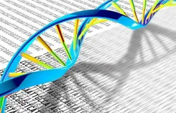 新血检可提前3年查出癌症 首次实现癌症"超前预警"！