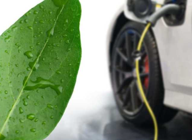 中国科学家推动“人工树叶”新进展 我国科学家造出新型人造树叶