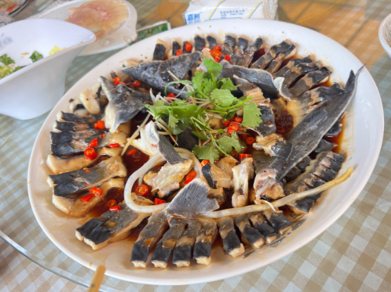 吃活金鱼喝食用油这种吃播如何治理?大胃王消失奇葩吃播又兴起?