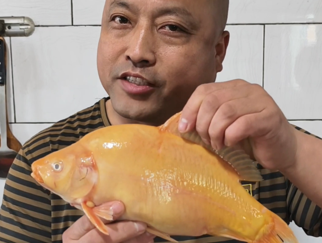 吃活金鱼喝食用油这种吃播如何治理?大胃王消失奇葩吃播又兴起?