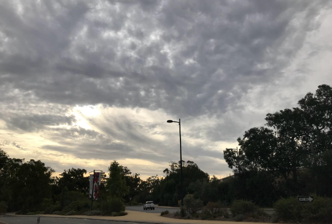 大连天空现“窟窿云” 大连天空的窟窿云是糙面云吗？