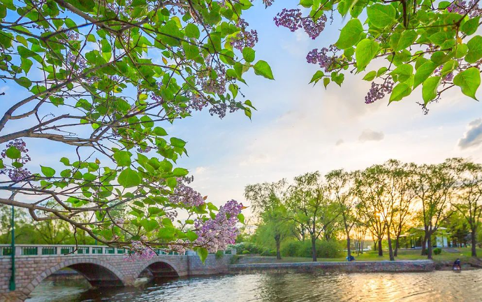 哈尔滨高温高校学生楼道睡觉 哈尔滨今夏有多热？