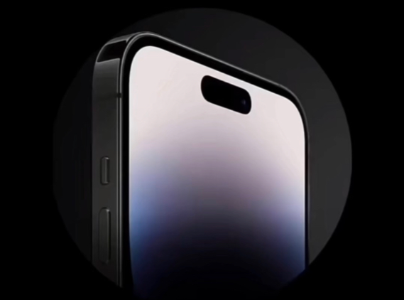 iPhone隐藏功能 iPhone快速检查宠物身上的虫子