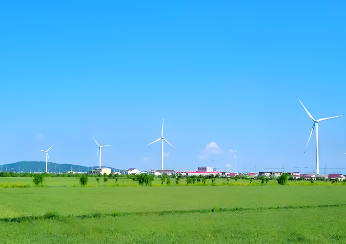 烟台海面变“草原”了 烟台这片大地调色盘美到犯规！