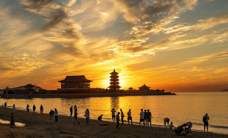 烟台海面变“草原”了 烟台这片大地调色盘美到犯规！