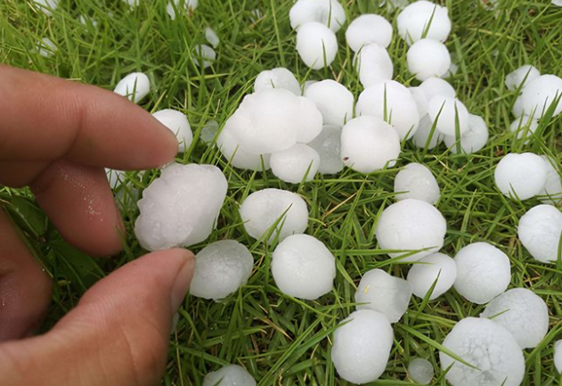 内蒙古多地突降冰雹最大如鸡蛋 最大如鹌鹑蛋持续约20分钟！