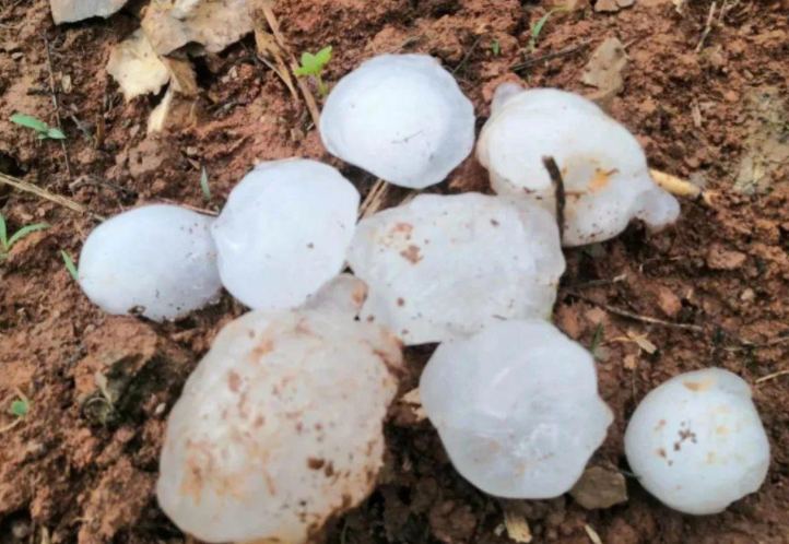 内蒙古多地突降冰雹最大如鸡蛋 最大如鹌鹑蛋持续约20分钟！