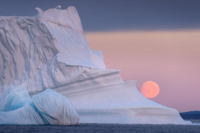 格陵兰居民懵了一觉醒来冰山在门口 格陵兰岛巨大的冰山村庄