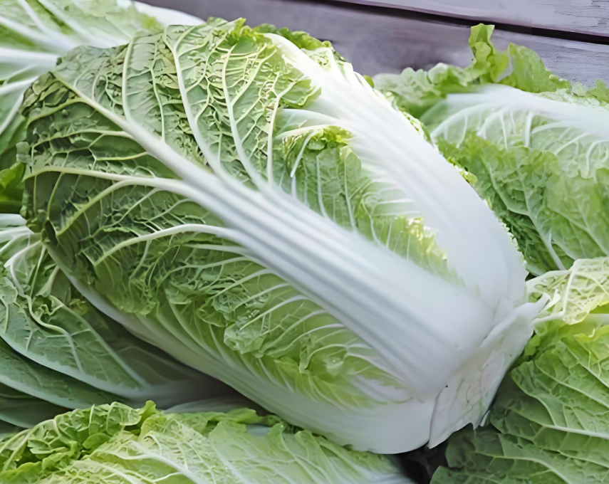 韩国国内现在大白菜多少钱一斤？韩国高温致大白菜价格暴涨