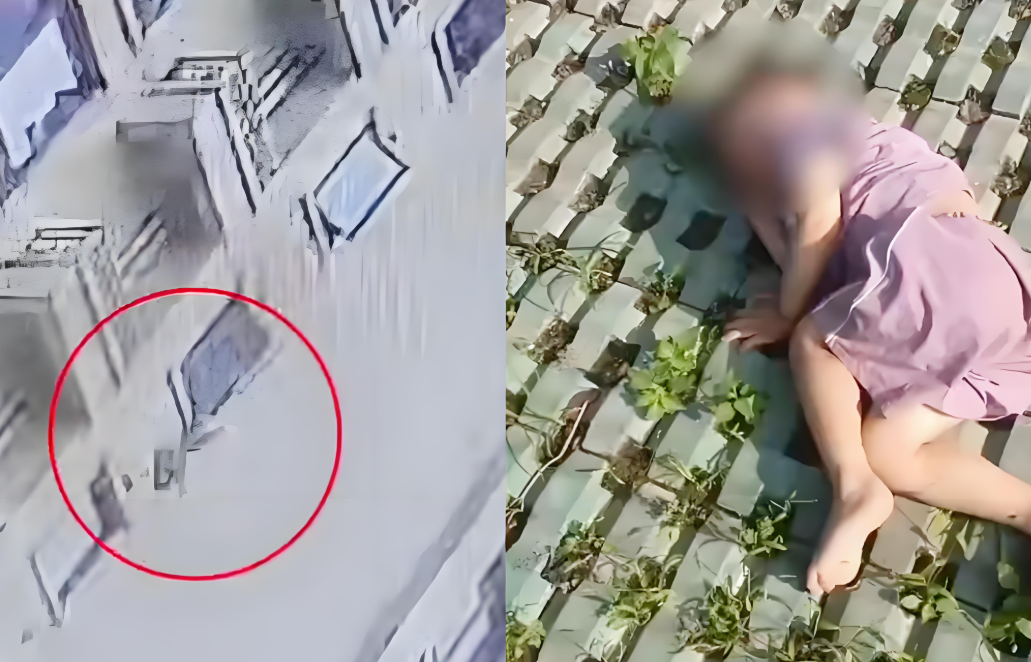 杭州3岁男童从18层高楼坠下奇迹生还 家长：挂到树上有缓冲，头未受伤意识清醒