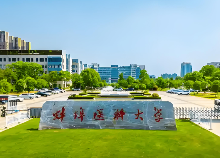 2026医学考研太难？这几所医学院“分数线低”上岸更轻松！医学考研逆袭指南