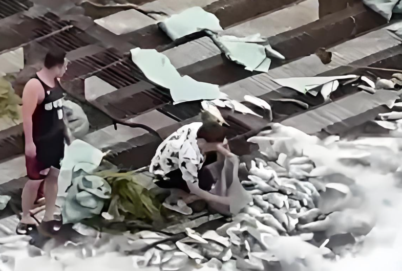 水库泄洪大量鱼类被铁丝网拦截 福建一水库泄洪大量鱼被拦截售卖 水库泄洪大量鱼类被铁丝网拦截 福建一水库泄洪大量鱼被拦截售卖