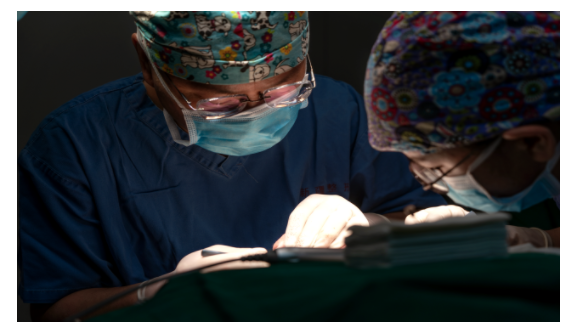 新疆威兹曼高峰：用专业守护每一份美丽期待