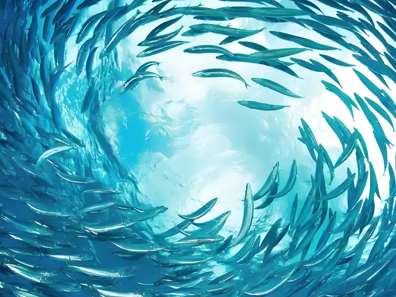 水库泄洪大量鱼类被铁丝网拦截 福建一水库泄洪大量鱼被拦截售卖 水库泄洪大量鱼类被铁丝网拦截 福建一水库泄洪大量鱼被拦截售卖