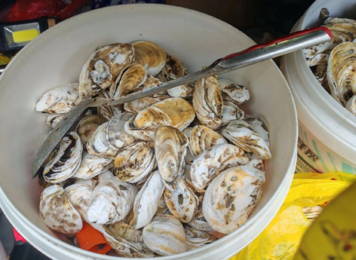 台风“吹”来的海鲜能吃吗 大自然的馈赠可能有毒!