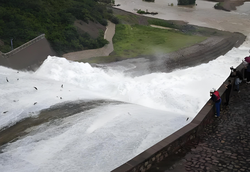 密云水库泄流现场大量鱼被冲出 密云水库泄流到处都是鱼！