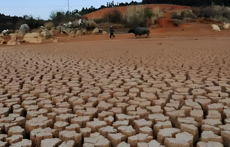为何河北特大暴雨河南却严重干旱？南方涝灾北方旱灾，今年天气为什么这么怪？