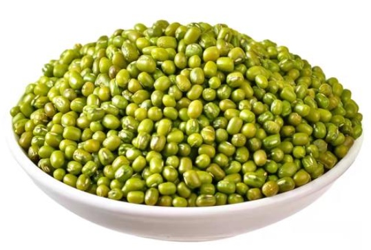 自然发酵的绿豆 小世界里的美好生活