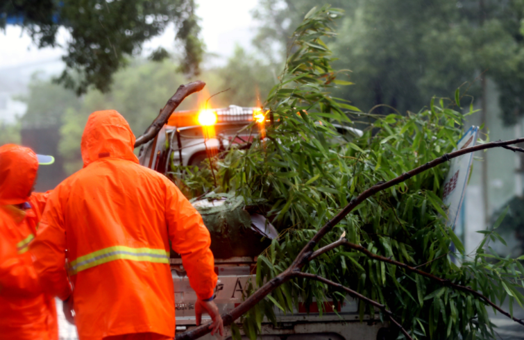 台风“竹节草”在浙江舟山登陆 这个以草命名的台风等级高吗？
