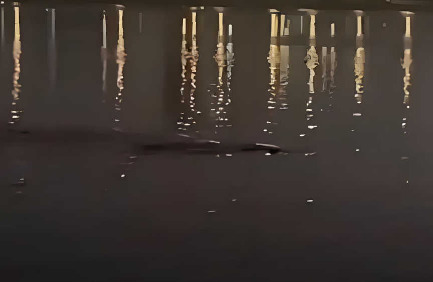 汉江“巨型怪物”事件！汉江现巨型怪物?夜钓者拍下惊悚一幕