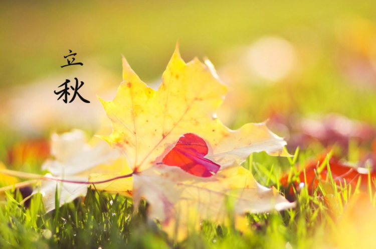 3天后就立秋了 2025年8月4号还有三天立秋了