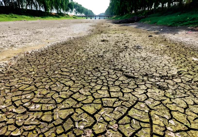 河南多地旱情严峻 河南农户:40多年没见过这么旱的天