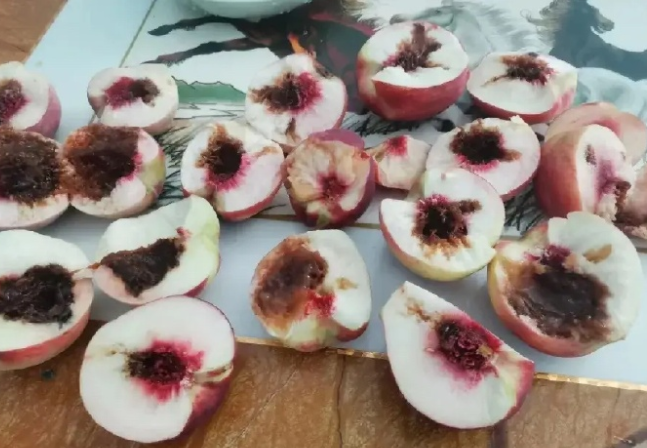 女子吃桃子咬开发现里面一堆树叶 一口咬出“树叶精装房” 女子吃桃子咬开发现里面一堆树叶 一口咬出“树叶精装房”